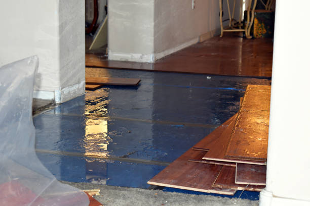 Professional Sewage Cleanup technician working in Livermore Falls, ME